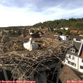 16_55-nest.jpg