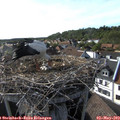 17_25-nest.jpg