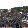 18_15-nest.jpg