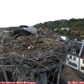 18_20-nest.jpg