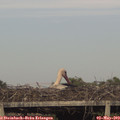 18_35-mast.jpg