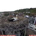 18_35-nest.jpg