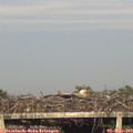 19_05-mast.jpg