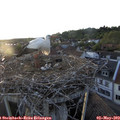 20_05-nest.jpg