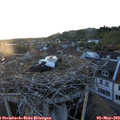 20_25-nest.jpg