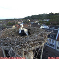 06_00-nest.jpg