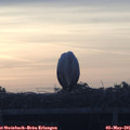 06_05-mast.jpg