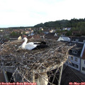 06_35-nest.jpg