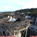 06_40-nest.jpg