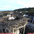 06_45-nest.jpg