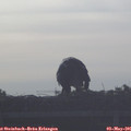 07_30-mast.jpg