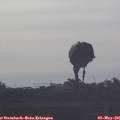 07_35-mast.jpg