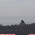 07_55-mast.jpg