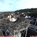 07_55-nest.jpg