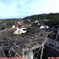 08_00-nest.jpg