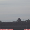 08_05-mast.jpg