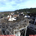 08_15-nest.jpg