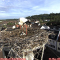 08_25-nest.jpg