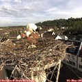 08_30-nest.jpg