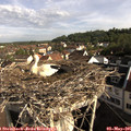 08_35-nest.jpg