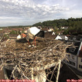 08_50-nest.jpg