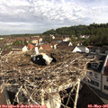 09_00-nest.jpg