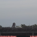 09_05-mast.jpg