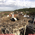 09_05-nest.jpg