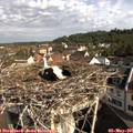 09_15-nest.jpg