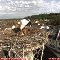 09_20-nest.jpg