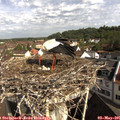 09_25-nest.jpg