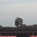 09_35-mast.jpg
