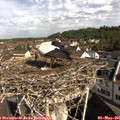 09_35-nest.jpg