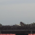 09_40-mast.jpg