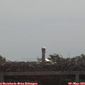 10_35-mast.jpg