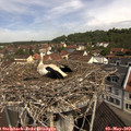 10_45-nest.jpg