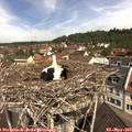 11_10-nest.jpg