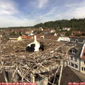 11_15-nest.jpg