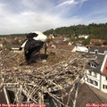 12_15-nest.jpg