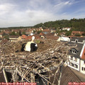 12_20-nest.jpg