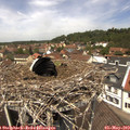 12_30-nest.jpg