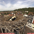 12_40-nest.jpg