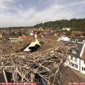12_45-nest.jpg