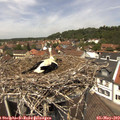 12_50-nest.jpg