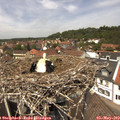 13_05-nest.jpg