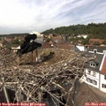 13_55-nest.jpg