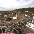 14_10-nest.jpg