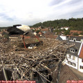 14_15-nest.jpg