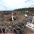 14_20-nest.jpg
