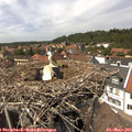 14_25-nest.jpg